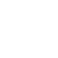 Stun Gun