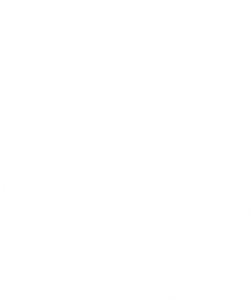 XO Logo White