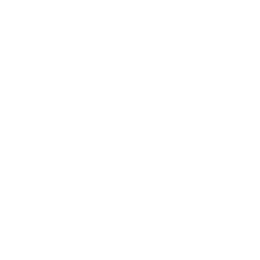 Mango Logo