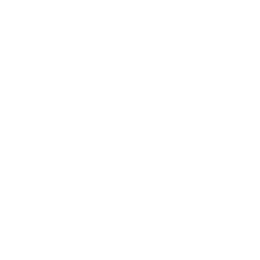 Slingshot