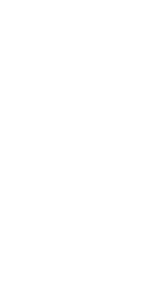 RemedyAsset 4@2x